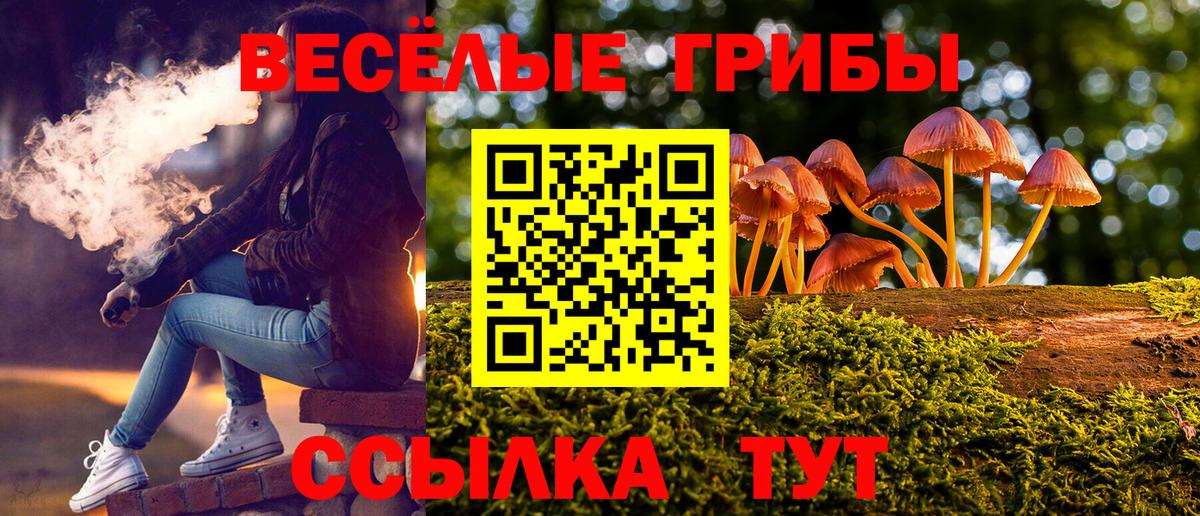 Галлюциногенные грибы Magic Shrooms  Вход с VPN  Минусинск 